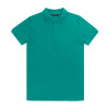 Carter Mens Polos Teal